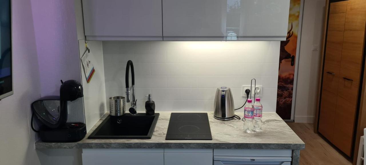 Apartment Neu Schweizerhaus 28 Karpacz